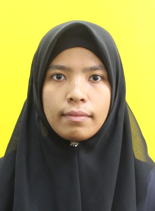 Eleen Dayana Mohamed Isa